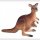 Kangaroo