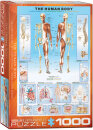 eurographics 6000-1000 - The Human Body (Puzzle with 1000...