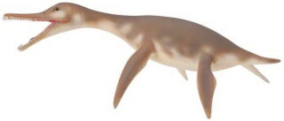 CollectA 88520 - Dolichorhynchops