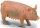 CollectA 88006 - Sow