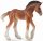 CollectA 88625 - Clydesdale Foal Bay