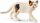 Schleich 13894 - Amerikanische Kurzhaarkatze
